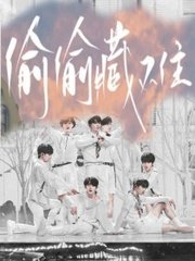 叶辰给姐姐结婚